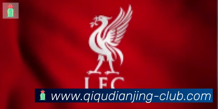 奇趣电竞合作伙伴
